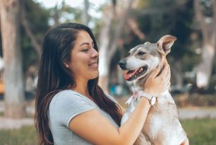 Les différents types de colliers pour chien Les différents types de colliers pour chien