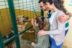 Comment se passe l’adoption d’un animal ? Comment se passe l’adoption d’un animal ?
